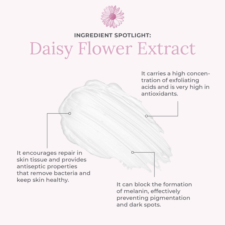 Daisy Flower Extract