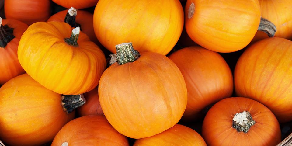 Wishing You A Boo-tiful Halloween! - AmazingCosmetics